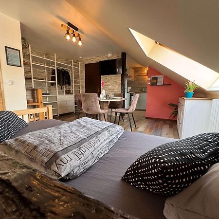 Private & Comfortable Apartments Puttelange-aux-Lacs المظهر الخارجي الصورة
